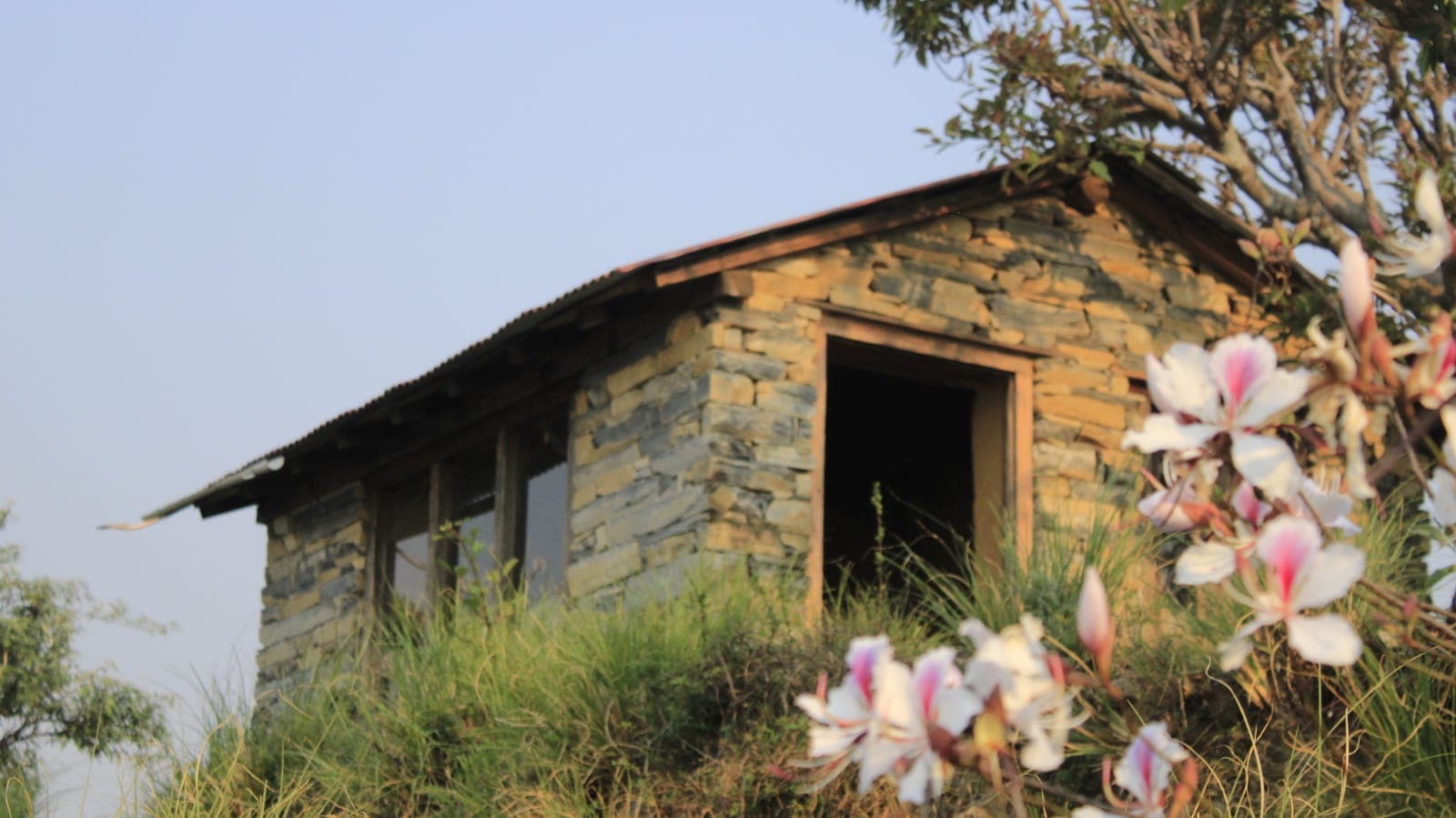 Cottage with orchid flowers